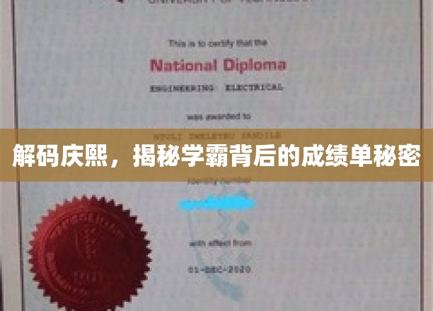 庆熙学霸养成记，揭秘高效学习背后的神秘法则