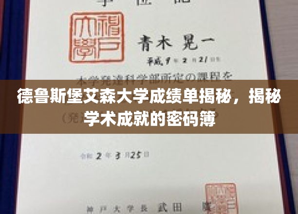 解码德鲁斯堡艾森大学，揭开成绩单背后的学术奥秘
