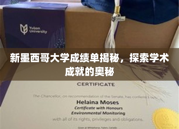 解码新墨西哥大学成绩单，一窥学术卓越的背后