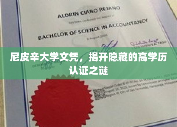 尼皮辛大学文凭，揭开隐藏的高学历认证之谜