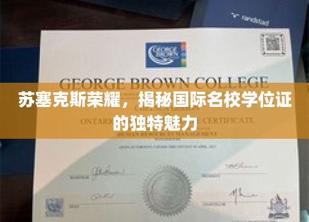 苏塞克斯荣耀，揭秘国际名校学位证的独特魅力