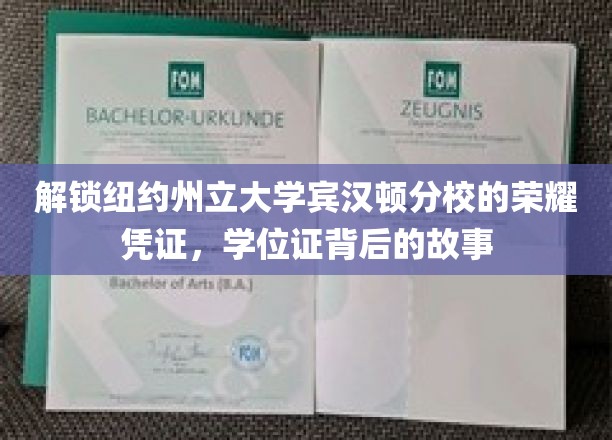 探索纽约州立大学宾汉顿分校学位证背后的辉煌历程