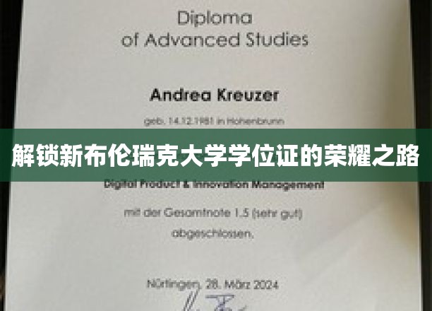 探寻布伦瑞克大学学位证的璀璨启程
