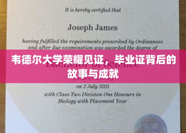 韦德尔荣耀时刻，揭秘毕业证背后的辉煌成就与感人故事