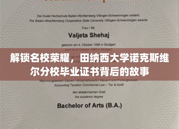 揭秘名校荣耀，田纳西大学诺克斯维尔分校毕业证书背后的故事
