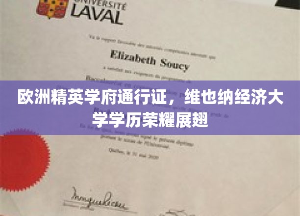 欧洲学府荣耀名片，维也纳经济大学学子翱翔职场新篇章