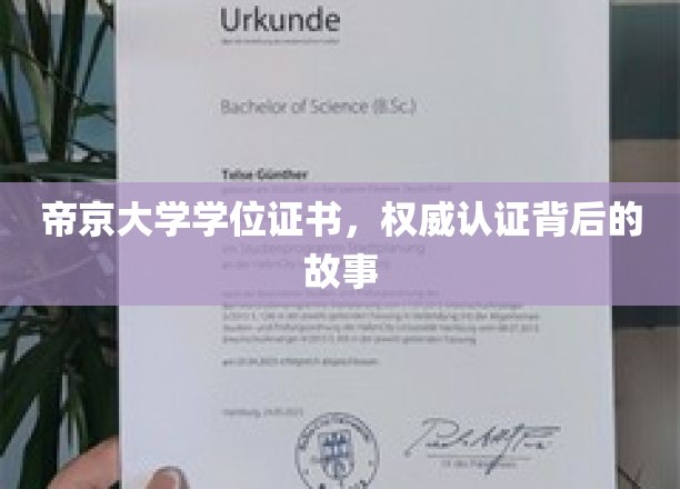 帝京大学证书传奇，揭秘权威认证背后的不凡历程