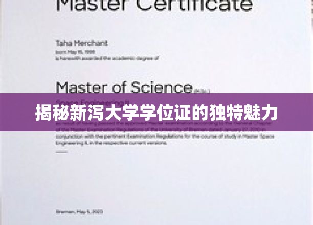 新泻大学学位证的独特魅力揭秘
