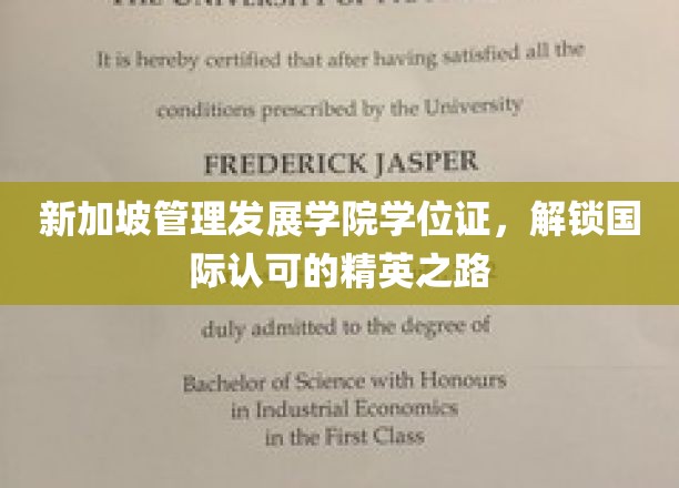 新加坡MDIS学位证，开启通往全球精英行列的通行证