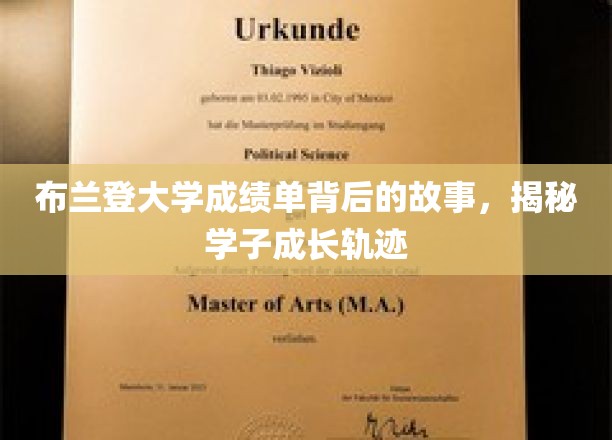 解码布兰登大学成绩单，探寻学子成长之路的秘境