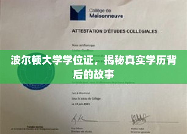 波尔顿大学学位证，揭示真实学历背后的故事