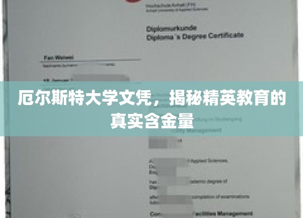 厄尔斯特大学文凭，探寻精英教育的真正价值