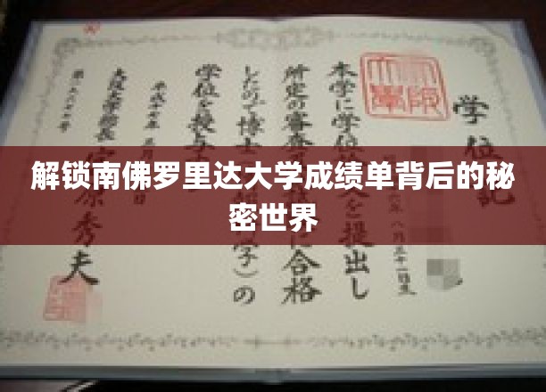揭开南佛罗里达大学成绩单的神秘面纱