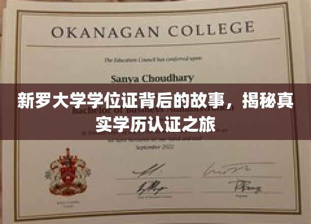新罗大学学位证背后的故事：揭秘真实学历认证之旅