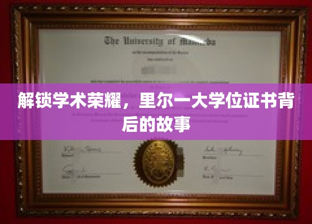 解锁学术荣耀，里尔一大学位证书背后的故事