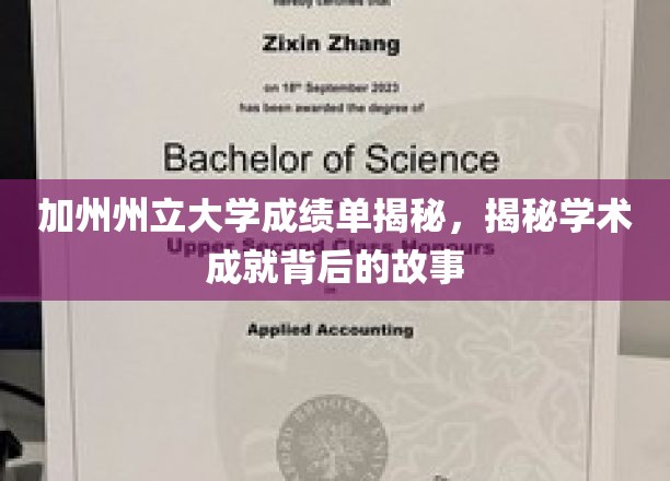 解码加州州立大学，揭秘学霸背后的成长轨迹