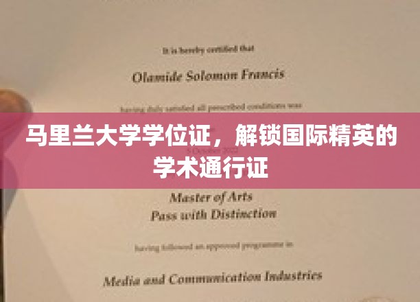 马里兰大学学位证，成就全球精英的学术之旅护照