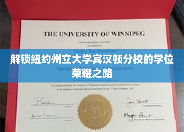 解锁纽约州立大学宾汉顿分校的学位荣耀之路