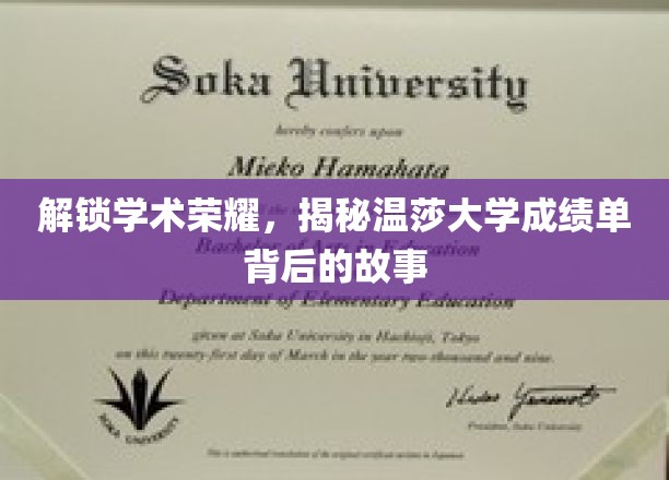探寻温莎大学卓越成就背后的秘密档案