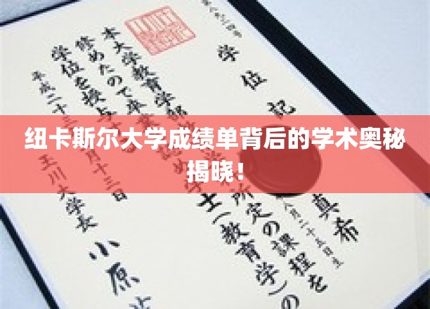 探索纽卡斯尔大学成绩单，解码学术成就的神秘面纱