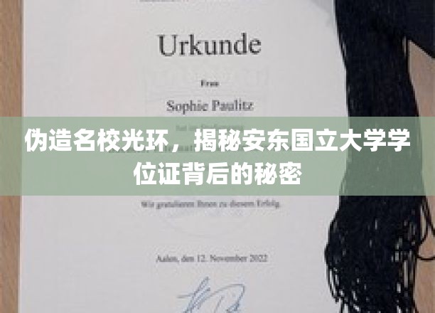 伪造名校光环，揭秘安东国立大学学位证背后的秘密
