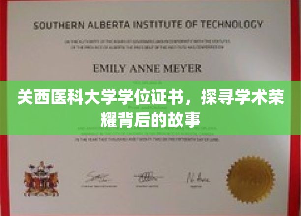 关西医科大学学位证书，探寻学术荣耀背后的故事