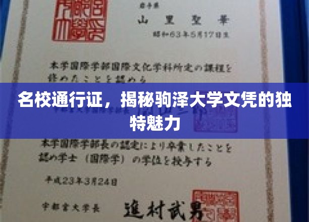 驾驭未来之门，驹泽大学文凭的独特吸引力解析