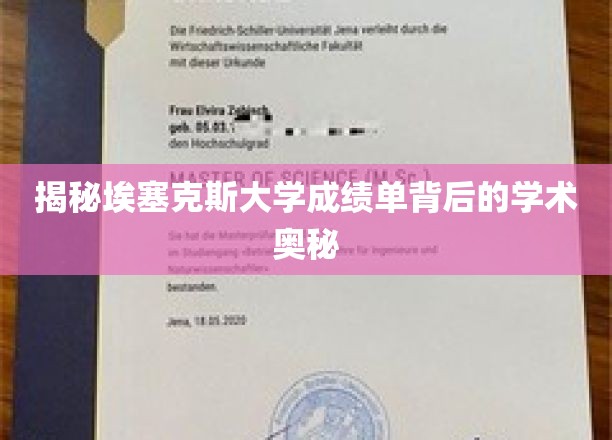 解码埃塞克斯大学成绩单，一窥学术真谛的秘密通道