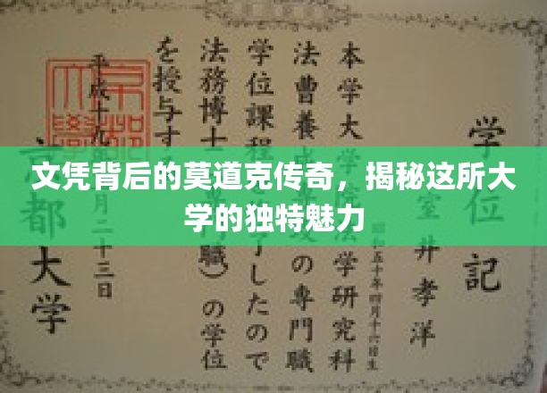 文凭背后，莫道克大学不为人知的魅力揭秘之旅