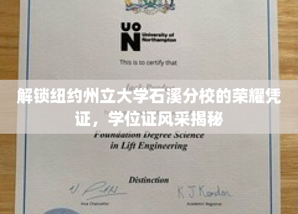 揭秘纽约州立大学石溪分校学位证的非凡魅力