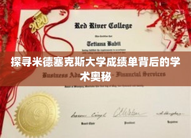 探寻米德塞克斯大学成绩单背后的学术奥秘