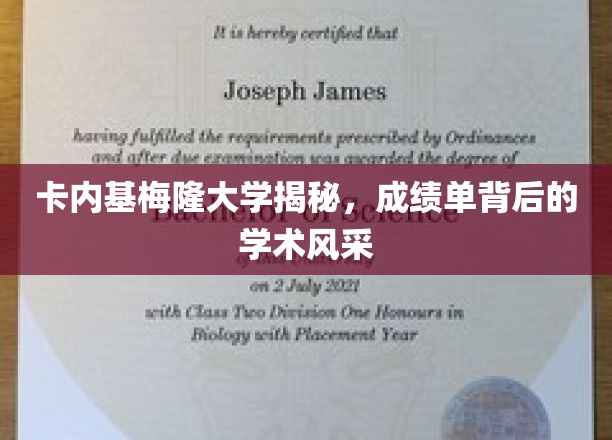 解码卡内基梅隆大学，成绩单背后的卓越学术魅力