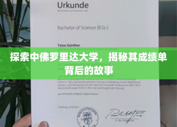 佛罗里达大学成绩单背后的传奇，一场未公开的揭秘之旅