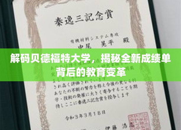 解码贝德福特大学，揭秘全新成绩单背后的教育变革