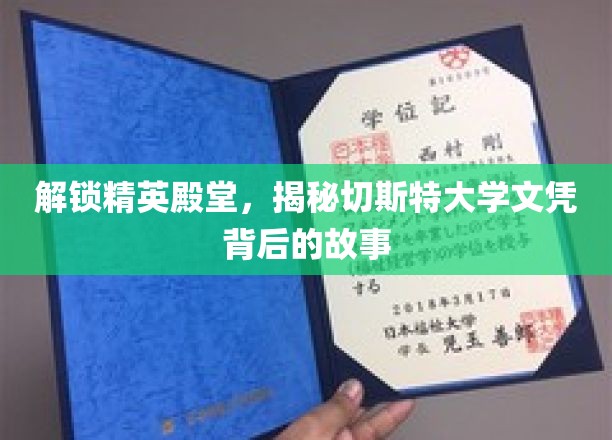 探秘切斯特大学，精英文凭背后的非凡历程