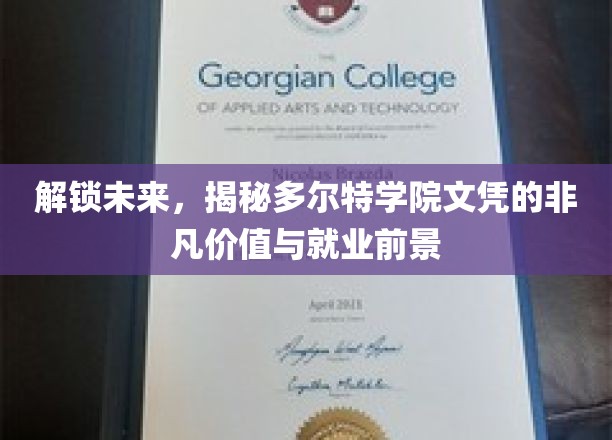 多尔特学院文凭，开启无限可能，揭秘职场新航向