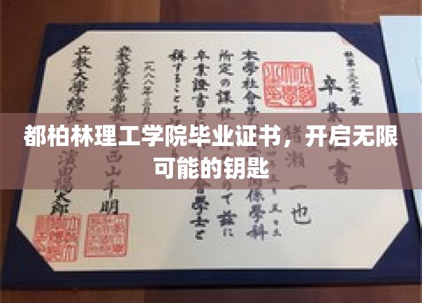 毕业证书，解锁都柏林理工学院未来无限之门