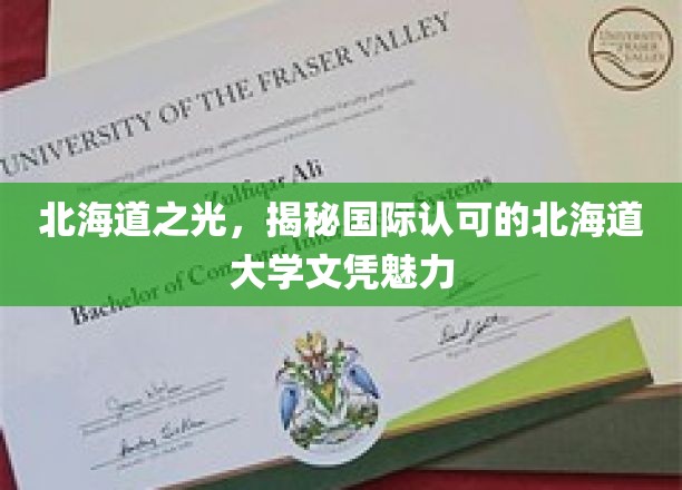 北海道之光，揭示国际认可的北海道大学文凭的魅力