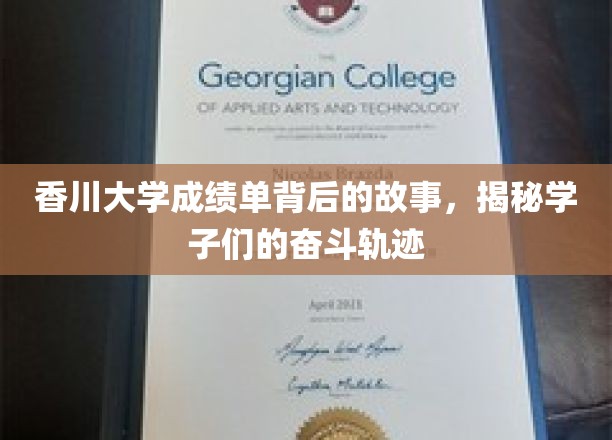 香川学子足迹，一纸成绩单背后的奋斗画卷