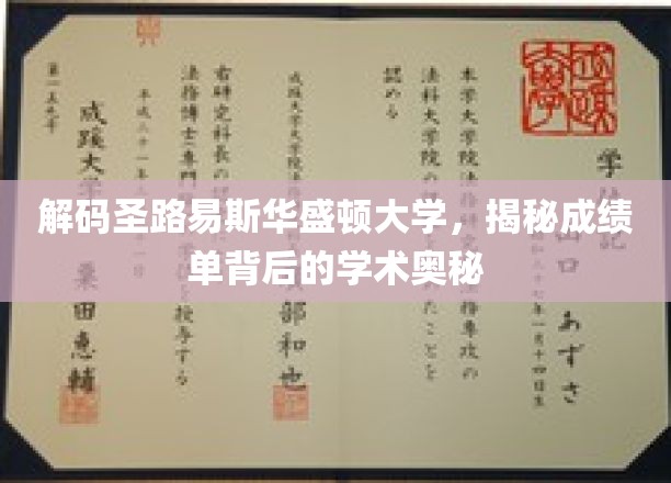 探索圣路易斯华盛顿大学，揭开成绩单背后的学术秘境