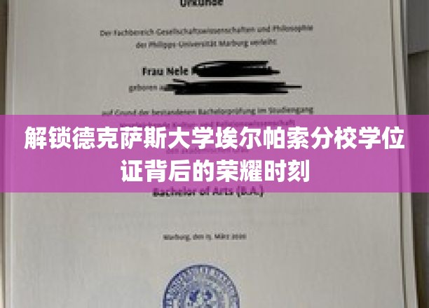 揭开德克萨斯大学埃尔帕索分校荣耀学位证的成就之谜