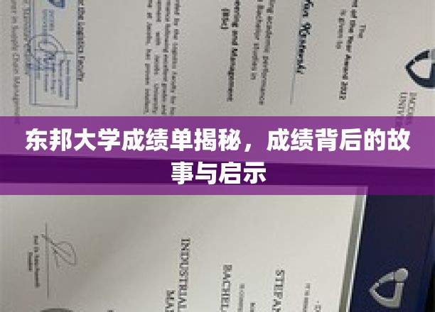 东邦大学成绩单背后的惊人真相与深刻启示