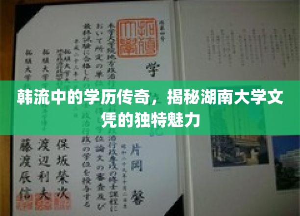 韩流中的学历传奇，揭秘湖南大学文凭的独特魅力