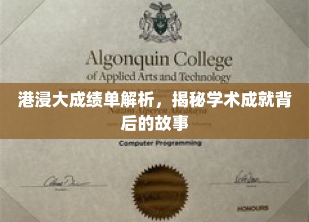 港浸大揭秘，学术荣耀背后的不为人知传奇