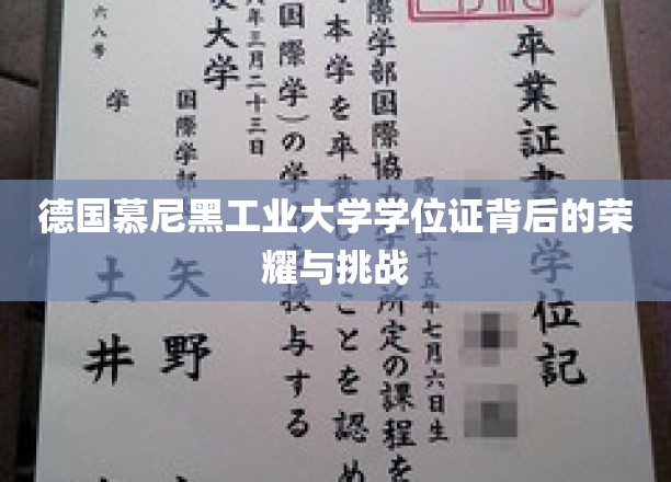 德国慕尼黑工业大学学位证背后的荣耀与挑战