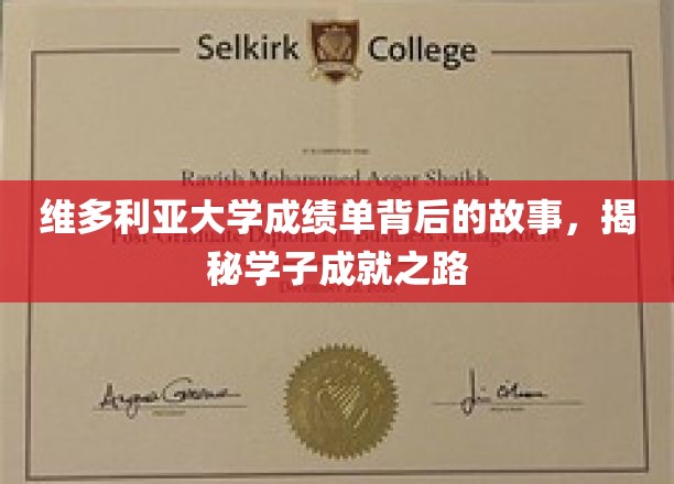 探寻维多利亚大学学子卓越背后的秘密