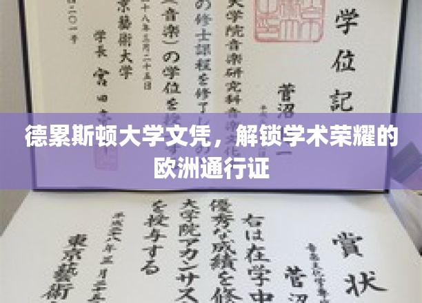 德累斯顿大学文凭，解锁学术荣耀的欧洲通行证