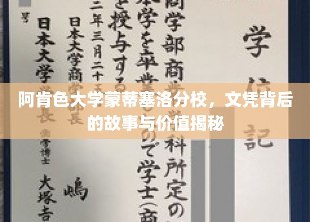 阿肯色大学蒙蒂塞洛分校，文凭背后的故事与价值揭秘