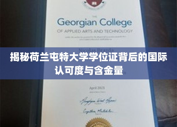 荷兰屯特大学学位证，国际认可的璀璨明珠