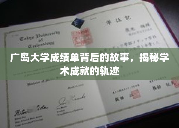 探寻广岛大学成绩单背后的辉煌历程